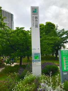 錦糸公園