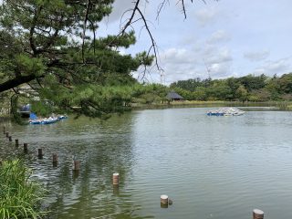 千葉公園2