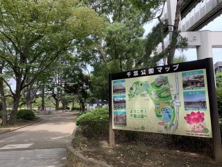 千葉公園