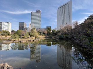 墨田区立旧安田庭園 約450m